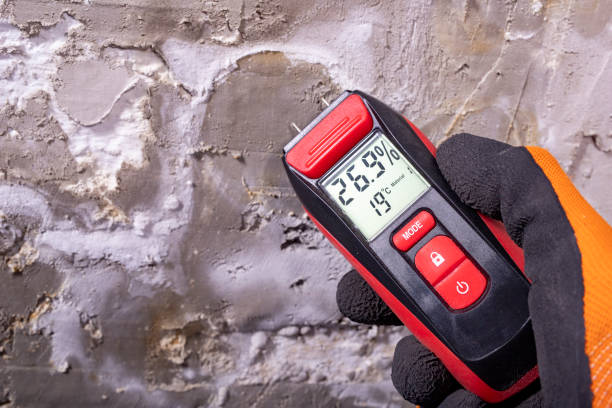 Best Certified Mold Removal  in Kaunakakai, HI