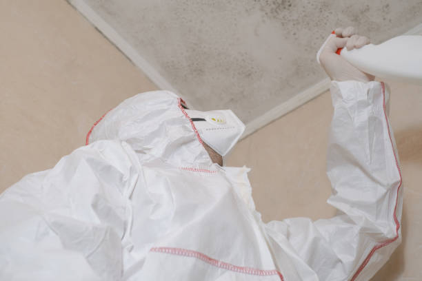 Best Attic Mold Removal  in Kaunakakai, HI