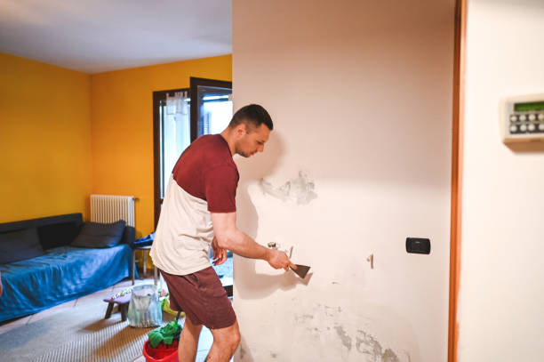 Best Commercial Mold Removal  in Kaunakakai, HI